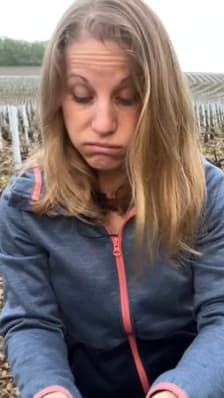  Après les orages, une viticultrice témoigne des dégâts à Chablis 