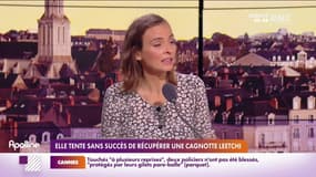 RMC s’engage pour vous : Elle tente sans succès de récupérer une cagnotte Leetchi - 09/11