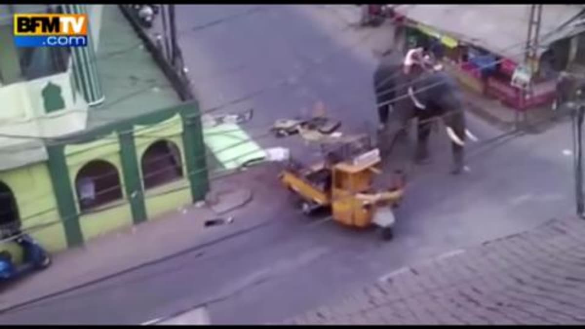 placeholder video