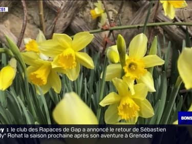 Tout Terrain: à la découverte des jardins de Salagon à Mane