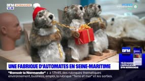 Seine-Maritime: un atelier de fabrication des automates