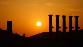 La cité antique de Palmyre, en 2009.