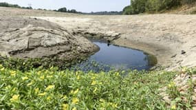 La France n'a pas connu de véritable pluies depuis le 21 janvier 2023, selon Météo-France (photo d'illustration)