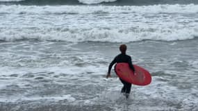 Les surfeurs varois ont profité du déferlement des vagues ce vendredi 20 octobre à Six-Fours-les-Plages.