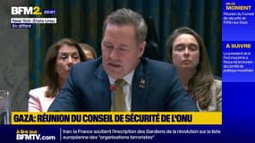 "Le Conseil de paix pourra faire advenir une nouvelle Gaza pour sortir de ce cycle de violences", déclare l'ambassadeur américain à l’ONU