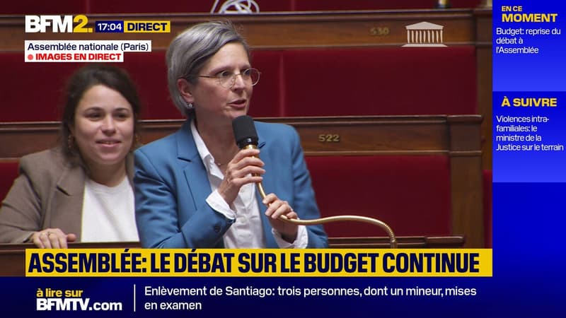 Rousseau à l'Assemblée : Ce 