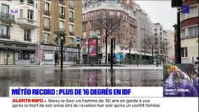 Plus de 16 degrés à Paris: un 31 décembre record