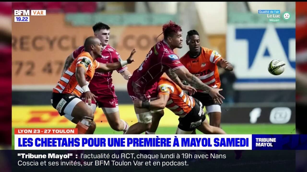 Écharpe De Rugby Vintage RCT Toulon Vs Saracens - 1/2 Finale Coupe D'Europe - Très Bon État