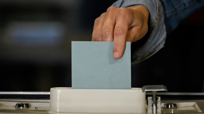 Le candidat UDR/RN arrive en tête au premier tour de la législative partielle dans le Tarn-et-Garonne