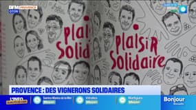 Provence: des vignerons lancent une cuvée solidaire après un fort épisode de gel en 2024