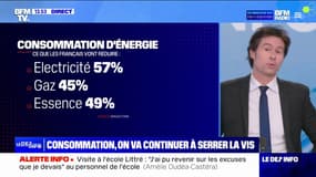 Énergie, alimentaire, loisirs...Les Français vont continuer à réduire leurs dépenses avec l'inflation 