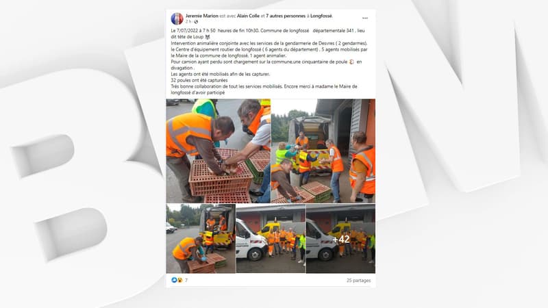Des agents et gendarmes sont devenus chasseurs le temps d'une intervention pour récupérer les poulets.