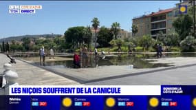 Les Niçois souffrent de la canicule