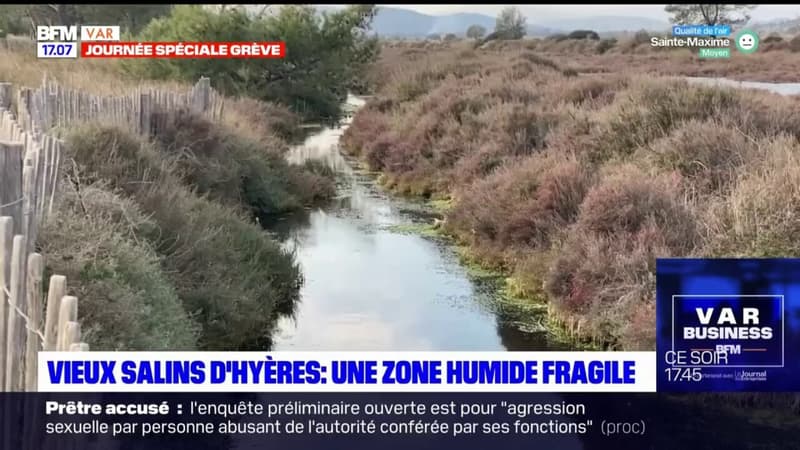 Hyères: de nombreuses zones humides font l'objet d'une surveillance constante