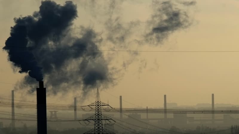 Le charbon représente en Allemagne quelque 40% de l'électricité brute produite dans le pays.L'Allemagne tire 40% de son électricité du