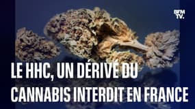  Le HHC, un dérivé du cannabis, interdit en France 