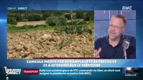 Météo et canicule: à quoi faut-il s'attendre pour les prochains étés? 