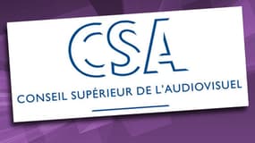 Le CSA pourrait un jour contrôler des pans de l'Internet.