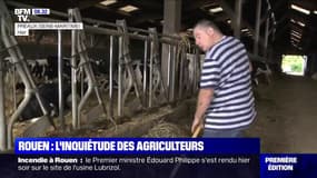 Les éleveurs laitiers de Rouen obligés de consigner leur lait