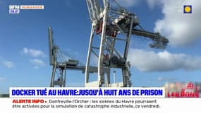 Docker tué au Havre en 2020: trois hommes condamnés pour "association de malfaiteurs"