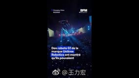 Des robots dansent à un concert et impressionnent le public