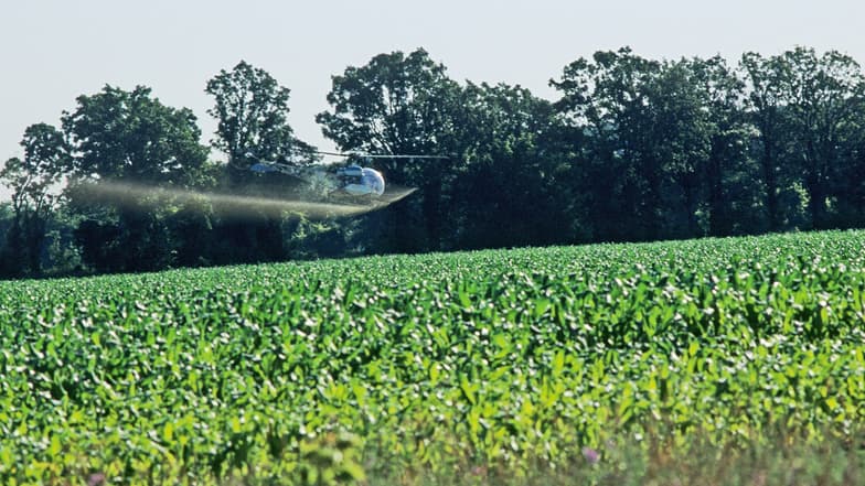 Hélicoptère projettant des pesticides dans un champ de maïs du Wisconsin, aux Etats-Unis, en novembre 2010.
