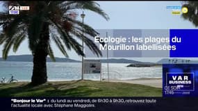 Toulon: les plages du Mourillon labellisées Pavillon bleu