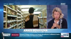 Dupin Quotidien : Perturbateurs endocriniens, alerte sur le soja - 24/05