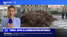 "L'accord avec le Mercosur c'est non en l'état", souligne Valérie Hayer (députée européenne)