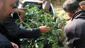 Des villageois recouvrent de branchages le corps d'un soldat tué dans une attaque le 7 septembre 2015 à Hakkari dans la région de Daglica