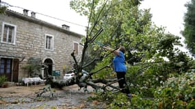Une femme coupe un arbre qui est tombé à Marato, en Corse, le 18 août 2022.