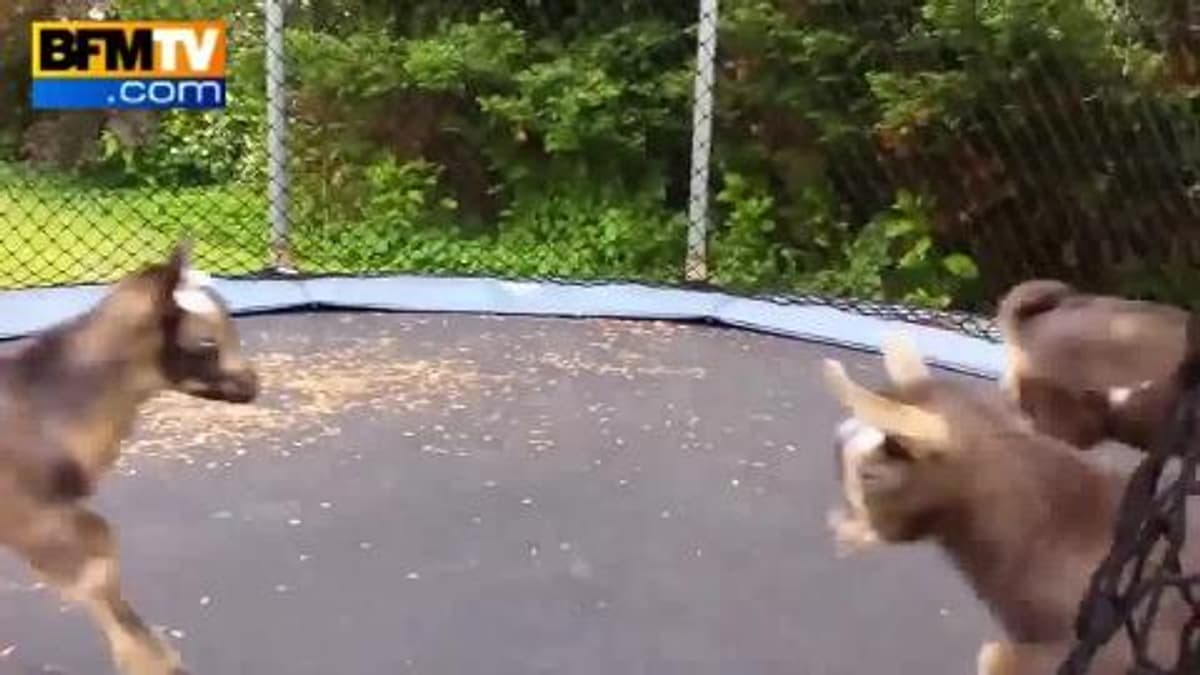 placeholder video