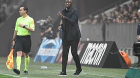 Vieira