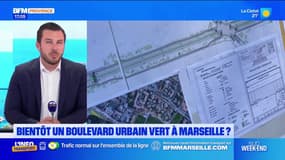 Marseille: bientôt un boulevard urbain vert?