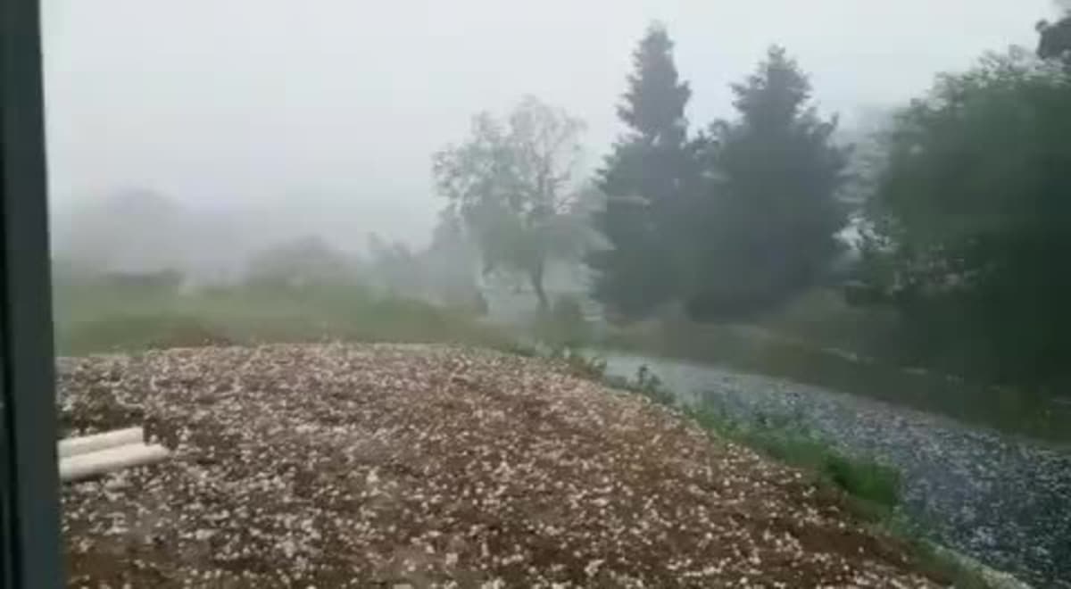placeholder video