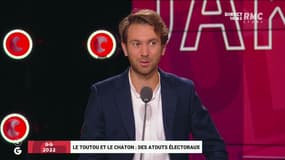 GG 2022 : Toutous, chatons ... des atouts électoraux ? - 21/09