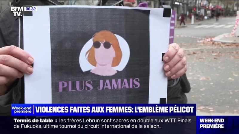 Lutte contre les violences faites aux femmes: Gisèle Pélicot, symbole de ce combat