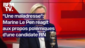 "Ça ne mérite pas d'être virée": Marine Le Pen réagit aux propos polémiques d'une candidate RN en Mayenne