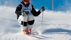 Alex Bilodeau