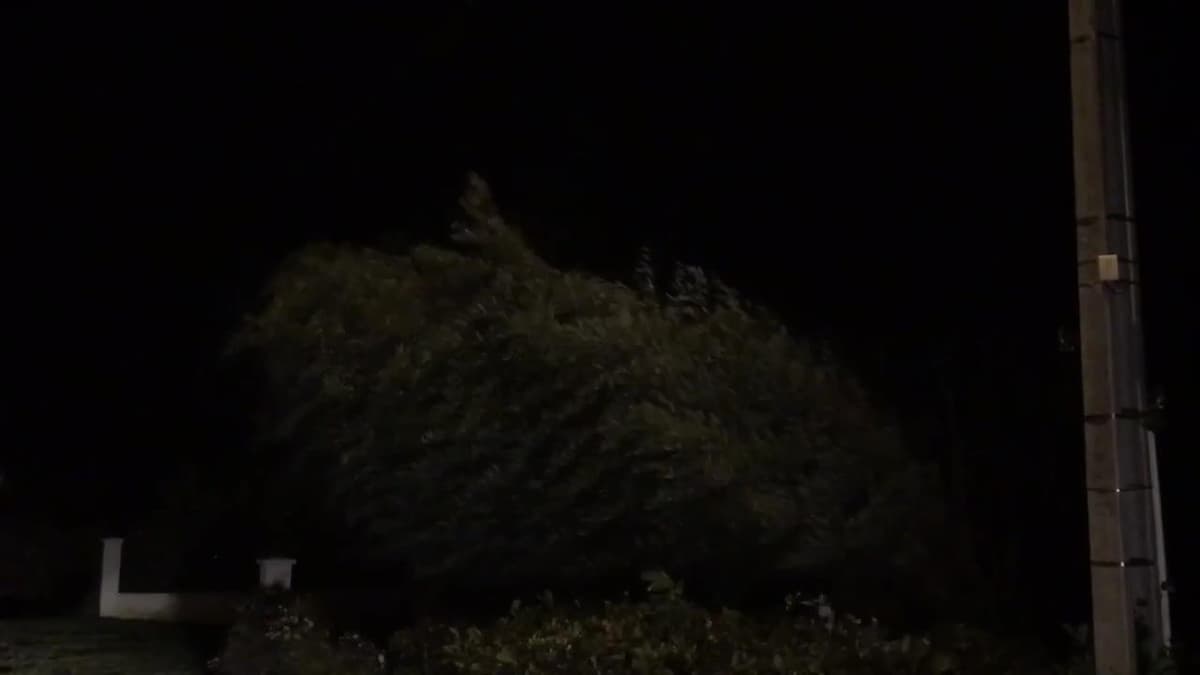 placeholder video