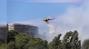 Un incendie s'est déclaré à Cagnes-sur-Mer (Alpes-Maritimes), le 25 juillet 2023. 