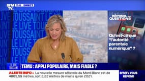 Qu'est-ce que "l'autorité parentale numérique"? BFMTV répond à vos questions