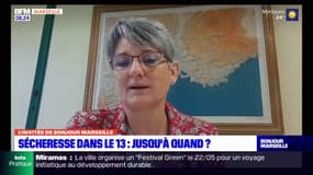 Bouches-du-Rhône: "Ce qui est prévu par le réchauffement climatique, c'est l'allongement de la sécheresse estivale", pour Cécile Guyon climatologue chez Météo France