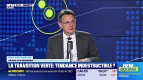 Bullshitomètre : La transition verte, tendance indestructible ? - FAUX répond François Monnier - 11/06