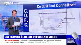 Covid-19: que disait-on fin janvier sur les modélisations de l'épidémie ?