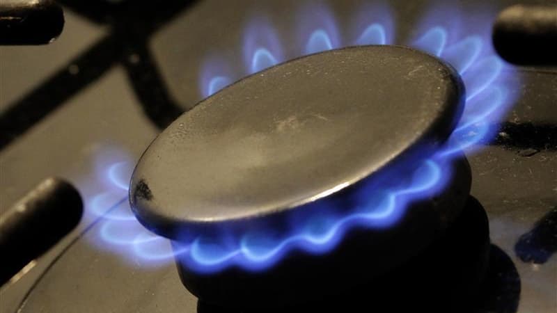 Les tarifs du gaz en France pour les particuliers devraient connaître cet été deux hausses successives en application de la réglementation en vigueur, a déclaré vendredi à Reuters une source proche du dossier, confirmant des informations de presse. Ces ha