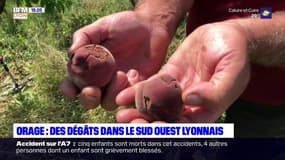 Orage : des dégâts dans le sud ouest lyonnais