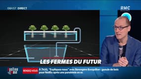 La chronique d'Anthony Morel : Les fermes du futur - 22/04