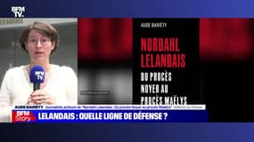 Story 6 : Affaire Maëlys, le marié regrette d'avoir "fait entrer le loup dans la bergerie" en invitant Lelandais - 08/02