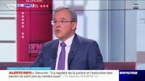 Thierry Mariani déclare qu'il n'aurait "aucun problème" à gouverner avec Nadine Morano ou Éric Ciotti